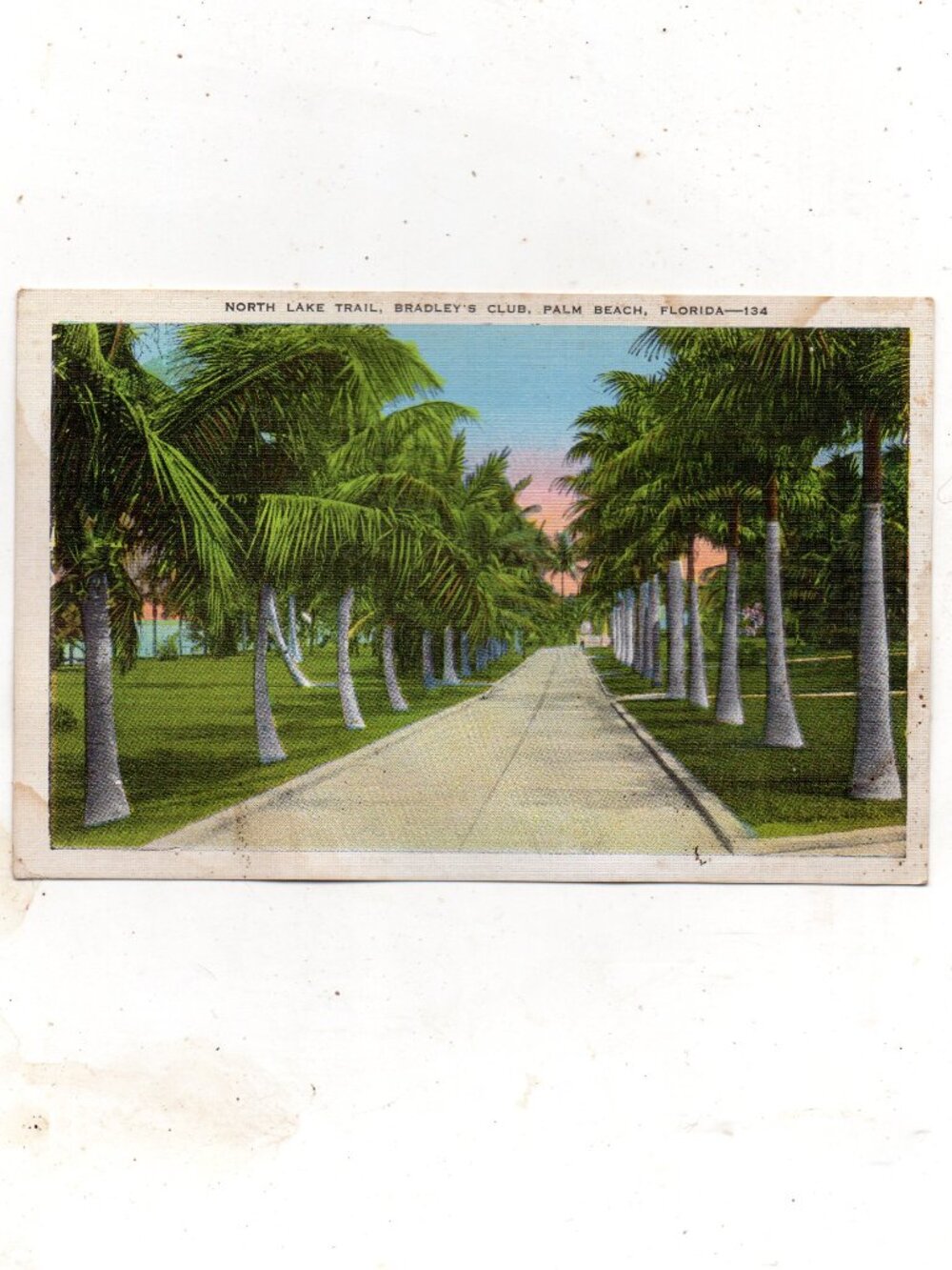 VINTAGE Unused Postcard - Lake Trail at Bradley's Club in Palm Beach, Florida